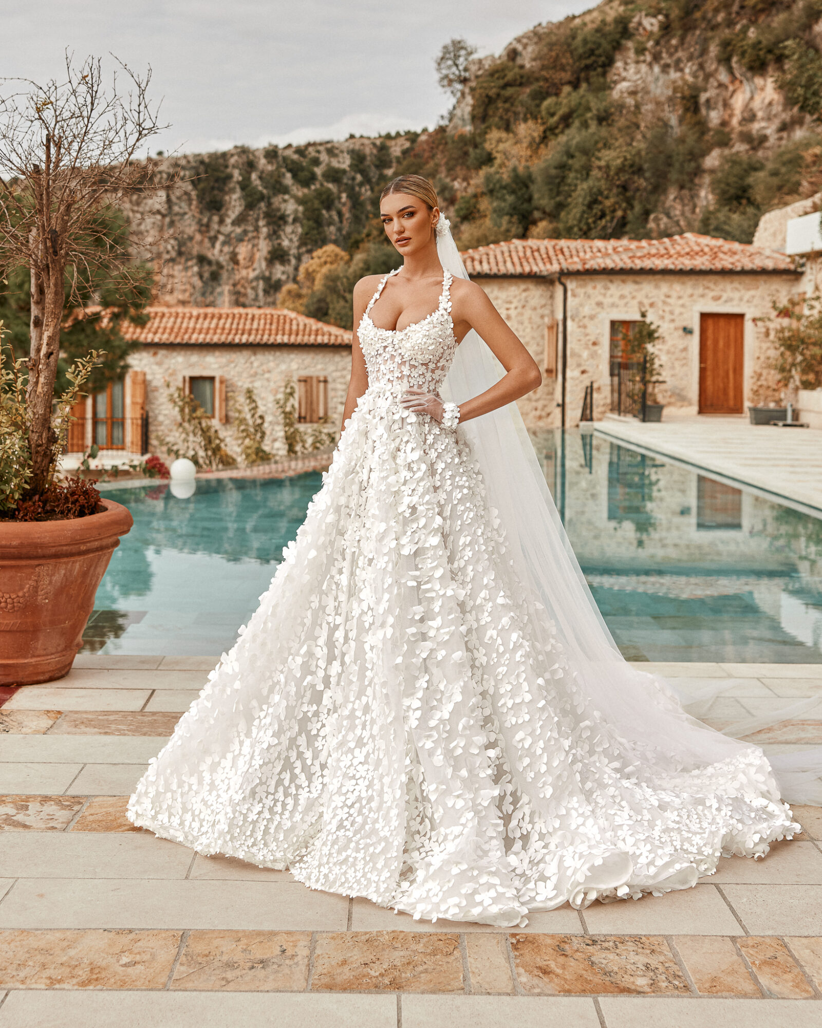 Timeless Romance - 001